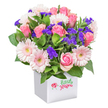 Radiating joy and crafted with unmistakable Stanmore flair, this abundant floral arrangement sits proudly in a clean white square pot. The bouquet features an exuberant display of pink roses in every stage of bloom, from tight, expectant buds to open, blushing petals, echoing the natural transitions of nearby Bernays Gardens. Complementing the roses are several pastel pink gerbera daisies, whose softly layered petals circle sunny white-yellow centres positioned to draw the eye, as if ready to greet the morning light streaming through Stanmore's tranquil streets. Amongst these, deep purple clusters of limonium sneak through the bouquet, offering pops of colour and the delicate textural intrigue of local wildflower meadows. Bright white filler blooms - possibly chrysanthemums or spray carnations - enhance the airy opulence, while arching stems and leafy greens peek out, enveloping the flowers in a lush embrace. The contemporary container grounds the arrangement with quiet dignity and a friendly presence, much like Stanmore's unique blend of urban comfort and countryside charm. Against a pure white background, the bouquet comes alive, ideal for birthdays, thanks, or sending encouraging wishes throughout the Stanmore area. It's a true testament to local creativity, freshness, and the everyday beauty delivered by Flowers Stanmore - always a bright spot in any celebration or thoughtful gesture.