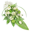 A long, softly cascading sympathy spray in cool whites and fresh greens, photographed against a clean white backdrop so every texture reads clearly. The design is teardrop-shaped, tapering gently to the lower right, where a single broad, bright green tropical leaf forms a sleek pointed tail; above it, long lance-shaped blades of glossy foliage arch gracefully, suggesting movement and quiet dignity. Several creamy white roses sit at the heart, some fully open with layered, velvety petals that carry a faint, honeyed perfume, while smaller buds promise a softer, sheltered bloom. Two sculptural white Calla lilies with satiny trumpet forms punctuate the upper left, their smooth, sculpted curves lending modern purity. Scattered among the roses are compact, lime-green button chrysanthemums - their tightly clustered, almost spherical texture brings a mossy, tactile contrast that lifts the arrangement. Delicate clouds of baby's breath (gypsophila) drift through the composition, their tiny white stars softening edges and adding an ethereal, breath-like air. The foliage palette is rich and varied: deep, glossy green leaves create weight and depth, variegated white-and-green leaves add subtle contrast, and feathery fern fronds at the top edge introduce a woodland freshness. A cream satin bow, looped with restrained elegance at the upper left, provides a formal, comforting accent. As a local florist might note, this piece is commonly chosen for funerals or memorials in Stanmore - whether sent to a service near Canons Park or laid at a local church - conveying calm, respect, and tender remembrance through balanced composition and muted colour.
