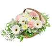 A tranquil, elongated floral basket arranged in soft pastels, presented on a pristine white backdrop so each detail reads clearly to the eye and to touch. The arrangement is built in a light brown, handwoven wicker basket with a strong curved wooden handle that frames the composition; blooms spill gently over the rim in a relaxed, natural sweep that leans slightly to the left where glossy ruscus trails outward. At the heart sit several large, pristine white Gerbera daisies - their broad, satiny petals forming clean circles around deep brown to near-black centres - which act as luminous focal points. Clustered around them are frothy pale pink carnations, their ruffled layers offering cushiony texture and a soft, romantic warmth. Filling the spaces are abundant small, daisy-like white and pale yellow chrysanthemums or asters, their compact heads bringing a fuller, comforting density. Delicate sprigs of tiny lavender-blue star-shaped flowers peek through the greenery, giving subtle cool contrast and a hint of gentle fragrance. The foliage is varied and tactile: rounded silvery-green eucalyptus leaves give a modern, calming sheen while darker green leaves and trailing fronds add depth and movement. The lighting is bright and even, bringing out petal veins, the soft powder of eucalyptus, and the woven grain of the basket, creating an overall sense of fresh, quiet elegance. This basket reads as a thoughtful, understated gesture - suitable as a comforting sympathy tribute, a serene bedside gift, or a peaceful centerpiece - conveying purity, gentle grace, and the careful hand of an experienced florist mindful of local deliveries across Stanmore and neighbouring Harrow.