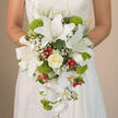 In this photograph, the camera lingers on a bride's hands as she holds an opulent cascading bouquet, its rich textures highlighted against the delicate off-white lace of her wedding gown. The lace pattern is intricate yet understated, allowing the flowers to steal the scene. At the core of the design, large white oriental lilies unfurl with quiet drama, their petals wide and smooth like satin, each one dusted with fine reddish-brown speckles near the centre. The stamens reach gently outward, tipped with warm-toned pollen that adds subtle depth to the otherwise pristine blooms. Tucked around these lilies are creamy ivory roses, fully opened yet still structured, their velvety petals forming soft, romantic whorls that speak to timeless love, very much at home in an elegant Stanmore celebration. Veils of white baby's breath spill in and out of the main flowers, their countless tiny blossoms adding a light, airy quality, like a faint mist softening the edges of the bouquet. As the arrangement descends into its teardrop form, stems of white Phalaenopsis orchids begin their graceful tumble, each flower with broad, smooth petals and a gently curved lip, creating the impression of a floral waterfall. Between the whites, lime-green Green Trick dianthus punctuate the bouquet, their fuzzy, rounded heads providing a delightful contrast in both colour and texture. Jewel-like red hypericum berries peek from between the petals, lending a lively, festive accent that suggests joy and celebration. Surrounding foliage in dark and mid greens, along with finer wisps of greenery, frame and support the design, giving it structure, depth, and a lush, garden-inspired feel reminiscent of a stroll around Stanmore Country Park on a bright day.
