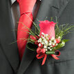This boutonniere, resting against a charcoal suit jacket, feels like a quiet celebration of love, thoughtfully crafted for a ceremony in Stanmore. The focal point is a richly coloured pink rose, its petals tightly layered near the centre and gradually loosening into softer curves at the edges. The bloom sits proudly yet gracefully, its velvety texture inviting the eye-and almost the touch. Encircling the rose, airy sprays of white gypsophila create a soft, cloud-like collar, their tiny star-shaped flowers adding delicacy and light. Slim strands of greenery emerge between these white blossoms, reaching out with gentle arcs and lending a sense of freshness that calls to mind the calm, leafy streets and gardens around Stanmore station. Close to the base of the rose, clusters of smooth red berries offer a striking contrast, their vibrant hue giving the boutonniere a playful spark that still remains elegant. A polished, dark green leaf wraps in a refined loop around the stem area, providing a modern, structured frame that echoes the sleek lines of a well-fitted suit. The stems are tightly bound with a narrow red ribbon, carefully wound to create a neat, refined finish, suggesting skilled craftsmanship and attention to every detail. The atmosphere this boutonniere conveys is one of poised anticipation and romantic dignity, ideal for a groom, best man, or special guest attending a wedding in Stanmore-perhaps after a short stroll from a local home to a favourite ceremony venue filled with family and friends.