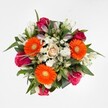 Brimming with color and crafted with expert care, this bouquet embodies the vibrance and gentle spirit of Stanmore. Seen from a top-down viewpoint, three stunning orange Gerbera daisies set a lively foundation, each flaunting a cheerful yellow-green center that seems to glow against the stark white backdrop. Weaving through their sunlit petals are luxurious roses in dramatic fuchsia and magenta hues, their forms varying from elegant tight buds to exuberant open blossoms, evoking both sophistication and playful affection. A soft, creamy peach rose sits at the heart, bringing balance and tranquility to the spirited palette. Elegant sprays of white alstroemeria offer fleeting promise, with some blooms coyly closed and others revealing their intricate beauty, while white spray chrysanthemums lend a cloud-like texture and airy brightness. Lush dark green leaves cradle the bouquet, adding structure and enhancing the vibrancy of every colour. It's a composition suited for celebration - whether gracing an event near Bernays Gardens, uplifting a birthday at home, or sending heartfelt wishes to friends and family across Stanmore. Each flower's freshness and placement reflects the pride and dedication of the area's finest florists, making this bouquet a true centerpiece of local artistry and emotion.