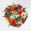 This joyful bouquet, lovingly arranged by Flowers Stanmore, radiates warmth and delight with every petal. Bold, sunny orange Gerbera daisies command the center, their vibrant tones inspired by the cheerful gardens and tree-lined paths of Stanmore. Interspersed with softer, peach-toned Gerberas and deep burgundy-centered blooms, the bouquet's palette is both rich and inviting. Between these, tightly furled fuchsia and burgundy roses evoke quiet romance and thoughtful affection, while a creamy beige rose near the middle unfurls softly, like morning mist over Bentley Priory Nature Reserve. Ruffled hot pink carnations add playful volume, and white spray chrysanthemums dot the ensemble with crisp brightness-each flower chosen to evoke celebration and gratitude. Slender white lily buds rise elegantly from the bouquet, promising freshness and future blossoms. A lush collar of green leaves-broad, glossy, and slender alike-frames the arrangement, completed by eucalyptus-like sprigs for a touch of silvery contrast and fragrance. Ideal for birthdays, anniversaries, or simply to lift the spirits, this Stanmore-inspired bouquet offers a vibrant expression of heartfelt sentiment, blending natural beauty with a personal, local touch.