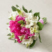 Resting upon a pale beige, subtly textured cloth, this hand-tied floral arrangement captures the mood of a joyful spring morning in Stanmore. The bouquet is dominated by velvety hot pink peonies, each blossom fully open, their many layers of petals curling and folding into one another to create rich, cushion-like spheres of colour. Nestled among these generous flowers are clusters of white alstroemeria, whose slim petals open elegantly and reveal fine reddish-brown speckles and slender stripes deep in their centres, lending an air of fine detail and effortless charm. Rising between the more rounded blooms are clusters of green buds, likely a spiked filler such as Ornithogalum, that introduce gentle height and a modern texture. The entire arrangement is cradled by lush dark green foliage that peeks out from beneath the flowers, giving a sense of movement and depth, as if the bouquet had just been gathered from a well-tended garden. The stems converge into a tidy, tapered bundle, their clean-cut ends aligned, and they are wrapped together with a soft pink ribbon that adds a romantic finishing touch and hints at weddings or engagements. The lighting appears soft and diffused, bright enough to highlight the vivid pinks and clean whites, yet gentle enough to preserve a calm, intimate feeling. This bouquet feels perfect for a bride stepping out of a ceremony near Stanmore station or for a couple celebrating an anniversary dinner at home, the flowers bringing a touch of refined celebration and freshly cut fragrance into the heart of local life.