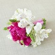 A compact, hand-crafted boutonnière-style floral arrangement is laid gently on a softly textured, light beige fabric that looks like natural linen, its neutral tone allowing every petal to stand out. At the heart of the piece is a single, lush fuchsia peony or garden-rose bloom, tightly packed with ruffled petals that create a rich, cushiony dome of colour. The pink is deep and saturated, with hints of magenta that suggest the kind of sunset you might catch over Stanmore Country Park on a clear summer evening. Cradling this central flower are several pristine white alstroemeria blossoms, their trumpet-shaped petals curling slightly at the tips. Each white petal is brushed with delicate maroon and burgundy streaks, like fine ink strokes, drawing the eye toward the throat of the flower and echoing the subtle drama of classic wedding corsages. Slender, elongated buds and sprigs of fresh, light green foliage weave between the blooms, adding a gentle, vertical movement and a sense of natural growth, as if the arrangement were just gathered from a well-tended Stanmore garden. The stems are neatly aligned and firmly wrapped in a glossy, bright fuchsia satin ribbon that mirrors the hue of the central bloom, giving the design a polished, modern finish. Soft, even lighting falls across the flowers, highlighting the velvety texture of the petals and the crisp edges of the leaves while casting the faintest of shadows on the fabric beneath. The overall impression is intimate and romantic, ideal for pinning to a lapel or using as a small posy for a bridesmaid at a local ceremony near Canons Park or along The Broadway in Stanmore, capturing both freshness and heartfelt celebration in a single, delicate cluster of colour.