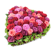 A lush, heart-shaped floral tribute photographed from a slightly elevated perspective against a pure white background, the bright, even lighting revealing every petal and texture. At the centre, dozens of garden roses have been packed with care to create a seamless, plush surface; their petals range from deep, velvety crimson and rich burgundy through radiant fuchsia and tender blush pink to a warm, purplish-magenta, forming a gently shifting tapestry of colour. Each bloom sits at the height of freshness-some tightly furled like little velvet buds, others opening into soft, ruffled cups-so the surface reads as both abundant and carefully modulated. Framing the heart is a contrasting band of fine, deep green foliage, the kind of textured leaves used by florists to carve and support form; this verdant fringe crisply defines the silhouette and soothes the eye against the intensity of the roses. Small, dark red berries or miniature burgundy flowers are tucked intermittently into the green border, offering subtle punctuation and a sense of depth where the eye would otherwise rest. The composition feels intentional and tender: the dense roses suggest warmth and devotion, the cool greenery a respectful calm. Viewed as a floral message, it conveys romance, remembrance or condolence with equal grace. As a local design one can imagine set for a ceremony or a private moment of memory in Stanmore, the arrangement's classic heart shape and rich tones offering both comfort and celebration in quiet, floral language.