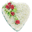 A beautifully composed heart-shaped sympathy arrangement fills the frame, set against a simple white background that accentuates its peaceful colours and refined structure. The heart itself is densely covered with small white chrysanthemums, their petals overlapping to create a thick, cushioned surface that suggests softness and quiet rest. The pure white of the flowers offers a gentle, calming presence, much like the stillness of an early morning in Stanmore. At the upper left curve of the heart, three deep red roses cluster together in a prominent spray. Each rose is rich and velvety, with tightly layered petals that form a classic spiral, symbolising love, respect, and remembrance. Around this focal point, small white filler flowers and varied greenery-broad, dark leaves mixed with feathery, lighter stems-provide contrast and texture. Two more red roses are carefully placed lower down toward the right, creating a subtle diagonal line across the heart. Linking these blooms, long, slender blades of bright green decorative grass sweep and arc over the chrysanthemums, adding graceful movement and guiding the viewer's eye from one rose to the next. The outer edge of the heart is trimmed with a deep green satin ribbon, neatly pleated to echo the heart's curves and give the design a formal, finished appearance. This floral tribute feels both traditional and deeply personal, the kind of arrangement that might be delivered from a Stanmore florist to a local church or crematorium, offering a tender, visual message of sympathy and enduring affection when words may feel inadequate.
