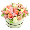 A gentle sunrise of blooms sits within a round, cream-coloured hatbox photographed against a pure white backdrop, the matte box banded by two thin, dark lines at the rim and base that lend a quiet, refined contrast. The arrangement forms a dense, domed bouquet where large, velvety roses take centre stage, their petals showing a warm gradient from coral-peach and apricot at the heart to soft blush pink and creamy ivory at the outer edges. Intertwined among these generous blooms are clusters of frilly, baby-pink carnations whose ruffled textures create a soft, tactile fullness, inviting the fingertips to feel their whisper-thin layers. Small, bright-green sprigs with narrow leaves punctuate the composition, offering fresh, cooling highlights that lift the palette and add natural depth. Soft, even light falls across the flowers, revealing subtle petal veins and the plush sheen of newly opened roses while keeping the overall tone delicate and serene. The compact, overflowing silhouette reads as thoughtfully designed - each bloom placed to enhance volume and colour transition, the dark bands of the box framing the floral dome like a ribbon. This composition radiates warmth and approachable elegance, a bouquet suited to birthdays, anniversaries, quiet congratulations, or to brighten a bedside table after a morning walk through Stanmore Common. The arrangement's scent suggests a light, powdery sweetness with green notes, a comforting reminder of an early summer garden. Presented with expert craft and fresh blooms, it feels both intimate and celebratory, an understated luxury that holds sentimental weight without excess.