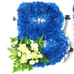 The scene shows a carefully designed funeral flower arrangement shaped into a large capital B, filled entirely with vivid royal blue chrysanthemums. Each bloom contributes its layered, almost plush petals to a continuous surface of blue, tracing the curves and lines of the letter in a way that feels both strong and gentle. The flowers display subtle tonal shifts, with deeper blues hidden in the folds and lighter, cooler shades visible where the petals catch the light. A border of white ribbon, softly gathered into a ruffled edge, runs around the outside of the B and along its inner contour, creating a crisp frame that emphasises the floral work and echoes traditional funeral ribboning. At the lower left of the letter, a small, graceful bouquet brings balance and contrast. Creamy white roses-some in neat, pointed buds, others opening to reveal spirals of petals-are arranged with delicate white spray chrysanthemums, whose tiny daisy-style blooms bring an air of innocence. This cluster rests in a bed of mixed greenery, including feathery ferns, slightly variegated leaves, and glossy green foliage that extends gently beyond the letters' edge. The tribute feels deeply considered and quietly expressive, ideal for commemorating someone whose name begins with B. In Stanmore, it is easy to imagine Flowers Stanmore creating and delivering such a piece to a funeral at a local church, synagogue, or crematorium, travelling along the calm residential streets. The floral letter offers a visual expression of loyalty, love, and farewell, using colour and texture to speak where words might falter.