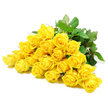 A beautifully composed image shows a lush line of yellow roses resting on a pristine white surface, arranged side by side in a loose, natural band that runs across the frame. There are around two dozen individual blooms, each captured with clarity so that you can almost feel the soft, velvety texture of the petals. Some of the roses are still modestly closed, with petals tightly coiled in a classic spiral, while others open outwards, displaying layered, ruffled centres that create depth and interest. The shade of yellow is warm and gentle, bringing to mind a quiet sunrise over the open spaces around Stanmore, offering comfort rather than intensity. Deep green leaves cluster thickly around the rose heads, their slightly waxy surfaces catching the light in small glints and shadows that give the image dimension. Beneath this canopy of foliage, firm green stems and the occasional thorn are just visible, grounding the arrangement in the reality of freshly cut flowers. The lighting is soft and balanced, smoothing away harsh contrasts and allowing the viewer to focus on the harmony between the golden petals and the cool, verdant greens. The mood is contemplative and soothing, ideal for a sympathy bouquet intended to express care and remembrance in a subtle way. One can imagine this arrangement being prepared in a Stanmore workshop and delivered to a quiet home near The Broadway or close to local places of worship, where the roses would bring a tender brightness to a room filled with reflection, gently honouring the memory of a loved one with understated grace.