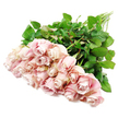 A softly elegant bouquet of roughly two dozen long-stemmed roses is displayed against a pure white background, arranged as if by an experienced florist at Flowers Stanmore preparing a gentle sympathy tribute. The roses themselves form a dense cluster at one side of the image, their velvety petals unfurling in shades of delicate blush pink that deepen very slightly into dusty rose and whisper-light lavender towards the centres. Many blooms remain in tight, spiralled buds, with petals layered closely together in graceful, precise curves, while a handful have opened into fuller, cupped shapes, revealing more of their intricate, ruffled interiors. This mix of stages gives the bouquet a natural, unforced feel, like a moment captured between opening and full bloom. From beneath the flowers, the stems trail towards the opposite corner of the frame, long, straight, and freshly cut. They are draped in an abundance of dark, glossy green leaves that provide a strong visual anchor and a striking contrast to the pale, romantic roses. The clean white background amplifies these colours and textures, allowing the softness of the petals and the richness of the foliage to stand out clearly. Bright, even lighting, reminiscent of calm daylight over Canons Park, brings out every small detail without creating harsh highlights. The composition feels serene and contemplative, ideal for expressing condolences or quiet support. It could easily be imagined resting at a memorial service near Stanmore station or delivered to a family home off Marsh Lane, carrying a message of comfort, respect, and enduring love through the timeless beauty of fresh pink roses.