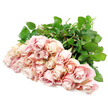 A generous bouquet of pale blush pink roses is shown resting in a graceful sweep across an immaculate white background, the simplicity of the setting allowing every subtle tone and texture to be clearly felt. There are about twenty-four roses here, all long-stemmed, their blossoms gathered into a loose but intentional curve that suggests the bouquet has been carefully arranged and then gently laid down. The blooms themselves transition from tight, protective buds to more open, rounded flowers, each petal unfolding in soft spirals that overlap like layers of satin. The primary colour is a muted, calming pink, gently warmed by hints of champagne and cream at the edges, while the recessed folds take on shadowy undertones of lavender and antique rose. Against the clean white ground, these colours appear even more delicate and luminous, as if the roses are lit by diffused daylight filtering through a window in a Stanmore sitting room. The dark green leaves clustered beneath the blossoms provide a rich, earthy counterpoint, their slightly glossy surfaces and defined shapes reinforcing the freshness and natural beauty of the bouquet. There is no visible wrapping or vase, just the honest simplicity of stems, leaves, and blooms. The impression is one of quiet grace and deep empathy, ideal for moments of loss or reflection-a floral gesture that might be delivered to a home near Stanmore station or placed gently at a remembrance service. The arrangement seems to speak in a low, steady voice of sympathy, support, and abiding love, offering a touch of softness where it is most needed.