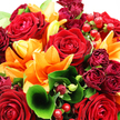 The bouquet in the photograph is captured in close focus, overflowing with rich, warm colours that seem perfectly at home in Stanmore's elegant residential streets. At the heart of the arrangement, large red roses are in full bloom, their velvety petals folding inward in tight spirals that give each flower a plush, almost cushion-like appearance, evoking love, admiration, and a hint of drama. Weaving through these roses are vivid orange lilies, opened wide with gently recurved petals, their star-shaped forms adding brightness and movement, like sparks of sunlight over the rooftops near Stanmore station. Between these statement blooms, smaller roses in deeper burgundy and crimson shades are tucked in clusters-some still neat buds, others beginning to relax into softer forms-lending a sense of depth and layered luxury. Encircling the flowers is an array of lush greenery: broad, glossy leaves that reflect the soft, bright light, paired with more delicate, textured foliage that softens the outline of the bouquet and hints at a natural, garden-inspired style. A single, prominent leaf at the front curls gracefully, adding a sculptural touch that pulls the viewer's gaze into the composition. Nestled among the petals are gleaming ruby-red hypericum berries, their small, rounded forms and polished surfaces catching subtle highlights and providing a playful contrast to the smooth petals. The lighting is clear and gentle, revealing fine details in each petal and leaf and enhancing the saturated reds, oranges, and greens. Altogether, the bouquet feels generous, passionate, and celebratory-an ideal choice for anniversaries, romantic gestures, or special moments shared in Stanmore's homes, restaurants, and family gatherings.
