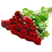 On a clean white field, a spectacular, large arrangement of red roses speaks of romance and enduring affection, lovingly assembled by Flowers Stanmore for Stanmore clients and their celebrations. The bouquet gathers approximately twenty-four to thirty-six long-stemmed roses, their petals a rich, velvety crimson that seems to glow with inner light. Leaves with a healthy gloss weave between the blooms, while the long green stems tilt diagonally upward to the right, forming a dynamic, upward arc that carries the eye through the composition.

Bright, even lighting reveals the satin texture of every petal and the lush density of the cluster, underscoring the bouquet's premium quality. This is a timeless gift for anniversaries, Valentine's Day, or a thoughtful gesture to mark a milestone for someone in Stanmore or the wider NW London area, with reliable same-day delivery available. The overall feel is generous, elegant, and quietly lavish-a statement of love that fits both a dinner table centerpiece and a doorstep greeting, delivered with careful care from Flowers Stanmore.