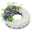 A dignified circular funeral wreath pictured against a clean white studio background, its form defined by a thick, continuous ring of pristine white cushion chrysanthemums. The chrysanthemums are tightly massed so each ruffled bloom nestles into the next, creating a plush, cloud-like texture that reads as calm and reverent. At the upper left quadrant a carefully composed spray of purple Eustoma (Lisianthus) adds a graceful counterpoint: deep violet, mid-toned lavender, and paler lilac blossoms sit alongside half-open buds, their layered petals offering a soft, velvety contrast to the white cushion. Interspersed throughout this purple cluster are fresh green leaves - some broad and glossy, others fine and ferny - which bring a gentle, living freshness and subtle variation in tone and silhouette. Along both the inner and outer curves of the wreath a frilly, dark purple mesh trim peeks out, its crinkled texture providing a refined framing that echoes the Lisianthus hues without overwhelming the overall purity. The composition is lit with soft, diffused studio light so a faint shadow beneath the wreath lifts it from the white backdrop and gives a sense of weight and presence. The overall impression is one of respectful simplicity and considered craftsmanship, suitable for a funeral or memorial; imagining this placed near Canons Park or the quiet corners of Stanmore Common, the wreath reads as a gentle, tactile expression of remembrance and enduring affection.