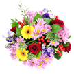 Set against a flawless white background and captured from a direct overhead angle, this hand-tied bouquet appears as a full, round celebration of mixed blooms and greenery, much like the arrangements crafted daily at Flowers Stanmore for local deliveries. Deep red roses punctuate the design, their velvety petals tightly coiled in elegant spirals, each bloom a small statement of affection and enduring love. Between them, radiant yellow Gerbera daisies stand out, with strong dark brown to nearly black centres and rings of bright petals that create a sunburst effect, casting a sense of warmth and happiness through the bouquet. Soft pink and lilac chrysanthemums, with their numerous fine, spiky petals and lighter yellow-green centres, add a gentle, cloud-like softness that balances the stronger forms and brings a comforting volume. Woven delicately among these flowers are Lisianthus blooms in rich purple, gentle lavender, and soft blue shades, their bell-shaped forms and slightly ruffled edges adding a refined, almost poetic touch that suits the peaceful residential streets around Stanmore station. Surrounding and threading through the blooms, leafy greenery provides structure and contrast: some leaves are broad, glossy, and deep green, while others are smaller, rounded, and eucalyptus-like, introducing cooler, silvery tones and extra texture. Small clusters of bright red hypericum berries are tucked in like tiny jewels, their smooth, glossy surfaces lending a festive spark and additional depth. The finished effect is both joyful and composed, an arrangement that feels right for birthdays, thank-you gestures, or quiet moments of support, and one that would bring a touch of colour and nature to any Stanmore home or office space.