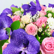 The bouquet in this image feels as if it has just been lifted from the worktable of a Stanmore flower shop, every bloom carefully positioned for balance and beauty. Dominating the scene are dramatic purple Vanda orchids, their large petals richly coloured and patterned with deeper, lace-like veining that adds a sense of depth and movement. Surrounding them is a luxurious mix of roses: some in soft blush pink reminiscent of early morning light over Stanmore's gardens, others in a slightly deeper pink that adds warmth, and several in creamy white with just a whisper of pale yellow shining from their centres. Each rose is tightly layered, full and round, suggesting the bouquet is at the height of freshness. Nestled between them are polished clusters of round white Hypericum berries, their waxy texture offering a modern twist that contrasts beautifully with the softness of the petals. Scattered amongst the larger flowers are small, fluffy white blossoms-tiny chrysanthemums or mini carnations-that fill the spaces and create a plush, cloud-like effect. Greenery threads through it all: vibrant, oval green leaves give structure and life, while silvery, feathery foliage akin to Dusty Miller brings a cool, velvety touch and a slightly misty appearance. The entire arrangement is photographed against a gentle, light background, allowing the interplay of purple, pink, cream and green to stand out clearly. The bouquet conveys a mood of romance, joy and quiet celebration, easy to imagine being carried into a family gathering near Canons Park, placed on a dining table in a home off Stanmore Hill, or delivered as a heartfelt thinking of you to someone special in HA7.