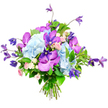 A hand-tied bouquet is shown against a pure white background, its carefully balanced colours and shapes revealing the work of an experienced florist, much like those at Flowers Stanmore. At the centre, generous clusters of pale sky-blue hydrangea create a plush, cloud-like cushion, each tiny petal contributing to the soft, rounded mounds that form the bouquet's foundation. Nestled among these are vivid orchids in fuchsia and deep purple, most likely Vanda or Phalaenopsis, whose broad, velvety petals are intricately speckled and veined, giving them a luxurious, almost jewel-like presence. Extending from the top and edges, deep purple clematis blooms sway on slender stems, their distinctive star and bell shapes adding height, gentle curves, and a touch of garden wildness reminiscent of climbing flowers along Stanmore's quiet residential gardens. Between these more dramatic blooms lie clusters of miniature roses in blush pink and creamy white, their small, layered petals unfolding into delicate rosettes that suggest tenderness and heartfelt emotion. A generous amount of lush greenery surrounds and weaves through the design, with glossy, broad leaves and finer textures providing structure, depth, and a restful green contrast to the cool blues and rich purples. At the bottom, the stems are clearly visible, neatly gathered and tied, underscoring the bouquet's freshly made, hand-crafted nature. Soft, even lighting washes over the arrangement, highlighting the subtle colour gradients and natural sheen of each petal. The overall effect is one of refined celebration and gentle romance, ideal for anniversaries, thoughtful thank-you gifts, or same-day flower deliveries to homes and offices throughout Stanmore.