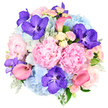 Photographed against a pure white background, this luxurious bouquet appears as a full, rounded dome of carefully layered blooms, each flower placed to create both abundance and balance. At its core, sumptuous pastel pink peonies open wide, their many ruffled petals stacked in generous layers that produce a soft, cloud-like effect, evoking tenderness and romance. Encircling these central blooms, sky blue hydrangeas form large, cushioned clusters, their myriad tiny petals blending into a pillowy, textured surface that gently cools the bouquet's overall tone. Scattered purposefully throughout, striking fuchsia-purple Vanda orchids provide flashes of intense colour; their petals, dappled with intricate speckles, add an exotic sophistication and become natural focal points within the design. Coral pink calla lilies arc outwards in elegant curves, their sleek, trumpet-shaped blooms drawing the eye and introducing a modern, sculptural element, much like the curated arrangements seen in stylish Stanmore interiors. Smaller gaps are filled with light pink and creamy white spray roses, their dainty buds and partially opened flowers offering a delicate, romantic texture and suggesting a soft, sweet fragrance. Around the edges and peeking from between the blossoms, silvery-green dusty miller and deeper green foliage lend contrast and depth, their cooler tones grounding the vivid colours and making the central flowers stand out more vividly. The bouquet as a whole feels rich, harmonious, and thoughtfully composed, ideal for significant life events, from milestone birthdays to intimate anniversary dinners in Stanmore homes. It is the visual embodiment of celebration and heartfelt sentiment, crafted with the practiced eye and gentle care of a local florist who understands how flowers can transform an ordinary day into a memorable occasion.