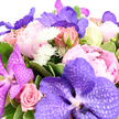 This bouquet appears as a luxurious burst of pink and purple blooms, serenely posed against a crisp white background that lets every detail breathe. At its centre, several show-stopping Vanda orchids open wide in tones of lavender and deep, velvety purple, their broad petals etched with fine, net-like veining that gives them remarkable depth and texture. These orchids create a sense of elegant drama, encircled by lush peonies in soft blush and ballet pink, each flower layered with ruffled petals that look almost cloud-soft, as comforting as a gentle stroll through Stanmore's quiet parks on a mild afternoon. Intertwined with the peonies are clusters of pink roses, some still in tight bud form with their petals tenderly wrapped, others fully open in light pink spirals that speak of romance and cherished memories. Small white chrysanthemum-style pom-pom blooms are sprinkled throughout, their slightly spiky petals catching the light and adding animated accents that brighten the overall palette. A rich collar of glossy green foliage, including a few variegated leaves with softly lighter edges, grounds the design and creates a frame that feels both natural and polished. The flowers are arranged in a close, abundant cluster, forming a rounded, overflowing silhouette that suggests generosity and celebration, ideal for special occasions in homes along Stanmore Hill or gatherings near Canons Park. Soft, even lighting enhances the subtle shadows between petals and the sheen on the leaves, allowing the bouquet's colours to glow without harsh contrast. This arrangement is perfectly suited for romantic gestures, elegant birthday surprises, or thoughtful thank you gifts delivered across Stanmore, capturing the quiet luxury and warmth that local residents appreciate.