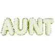 The scene shows a dignified floral tribute that spells out AUNT in striking, block capital letters, each one completely covered with pristine white chrysanthemums. The chrysanthemums are arranged so densely that they create a continuous blanket of petals, transforming individual blooms into a single, cohesive surface that looks soft and pillowy. Delicate layers of white radiate outward from the barely visible centres of the flowers, catching the light and imparting a gentle glow to the whole piece. Around the perimeter of each letter runs a neat band of bright green foliage or ribbon, hugging the contours of the typography with smooth precision. This lively green border frames the white flowers beautifully, guiding the eye along the shapes of A, U, N and T and ensuring that the tribute reads clearly even at a distance, such as from a pew in a Stanmore church or a gathering point at the crematorium. The contrast of white and green feels both traditional and fresh, echoing the calm, leafy character of the Stanmore area itself. The arrangement's clean lines and measured spacing convey composure and respect, making it a fitting choice for a farewell where family members want to honour an aunt's kindness and presence in their lives. There is no clutter or distraction in the background; everything is designed to highlight the flowers and the word they form. The result is a serene, heartfelt expression of sympathy that could easily be part of a carefully coordinated set of funeral flowers created by a local Stanmore florist for same-day delivery to a service or family home.