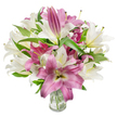 A generous, museum-like bouquet of oriental lilies fills the frame in a study of white and deep fuchsia tones, arranged in a simple clear glass vase. The composition shows many trumpet-shaped blooms at varying stages: several creamy off-white lilies are fully open, their petals curling back to reveal pale yellow-green throats and slender stamens tipped with delicate anthers, while clusters of velvety magenta to fuchsia lilies contrast with subtle lighter veins or near-white centers. A handful of elongated buds remain tightly furled toward the upper edges of the mass, promising more blossoms to come. Dark green, lance-shaped leaves weave through the arrangement, their glossy surfaces and pointed tips forming elegant lines that lift and support the flowers, creating depth, texture, and a garden-fresh frame. The transparent vase at the bottom centre permits a clear view of neatly trimmed stems submerged in clean water, anchoring the display and reinforcing the sense of freshness. Photographed against a crisp white background and bathed in bright, even light, the petals' silky textures and the lilies' soft gradients are rendered with luminous clarity. The overall impression is one of refined celebration and quiet luxury-this is a bouquet that reads as both a thoughtful gift for birthdays or anniversaries and a serene decorative piece for a living room or dining table. As a local florist familiar with Stanmore's taste for understated elegance, I picture this arrangement brightening a mantelpiece near Stanmore High Street or arriving as a fragrant, cheerful delivery for a neighbour in Canons Park.
