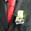 A close-up photograph captures the left lapel of a groom's charcoal grey suit, the fabric a fine wool blend with neat, visible stitching that suggests a carefully tailored fit, perhaps readied in a Stanmore boutique for a wedding at Bentley Priory or along Marsh Lane. Pinned perfectly in the centre of the frame is a classic boutonniere, built around a single creamy white rosebud whose velvety petals are still tightly furled, glowing softly against the darker cloth. Around the rose, a gentle halo of white baby's breath forms a cloudlike surround, each tiny blossom adding lightness and texture, while feathery threads of bright green foliage and a few broader, deeper green leaves curve protectively around the centre bloom. The arrangement is secured with a crisp white satin ribbon tied into a small, symmetrical bow, the sheen of the fabric catching the same soft light that highlights the rose. Beneath the jacket, a pale dress shirt with a subtle grid or check pattern offers understated contrast, while a vivid red tie, smooth and likely satin, drops through the middle of the image, intensifying the sense of formality and celebration. The combination of charcoal, white, and scarlet creates a quietly dramatic palette, evoking the poised anticipation just before the ceremony begins. You can almost imagine the faint, fresh scent of the rose as the wearer greets guests outside Stanmore station or steps into a nearby church, the boutonniere acting as a small but meaningful promise of love, care, and attention to every detail on a day where every moment matters.