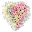 A softly coloured, heart-shaped floral tribute made from roses and baby's breath is pictured against a plain white background, its understated beauty echoing the calm, respectful atmosphere of Stanmore's memorial services. The heart is divided into two distinct halves, creating a gentle contrast that still feels unified. The left side is filled with an abundance of creamy white and very pale yellow roses, their velvety petals unfurling in layered spirals that give a sense of openness and light. These blooms are nestled closely together, forming a smooth, almost seamless surface that suggests purity, peace, and quiet reflection. On the right, an equally lush group of medium pink roses mirrors the arrangement on the left. Their petals are slightly deeper in tone, each flower carefully opened to show its full form, embodying tenderness, gratitude, and the loving memories that families in Stanmore often wish to honour. Thin, branching stems of white gypsophila weave between every rose and around the edge of the heart, their tiny blossoms creating a delicate, cloud-like border. This baby's breath softens the transition between the white and pink halves and gives the whole piece lift and lightness, as though the heart were cradled in a fine mist. The simple, bright background and even lighting keep the focus on the flowers themselves and the emotions they express. This elegant heart-shaped arrangement feels ideal for resting atop a casket, standing by a graveside, or gracing a remembrance table in Stanmore, offering a gentle, dignified expression of farewell and enduring love.