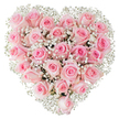 A densely packed heart of fresh pink roses fills the frame, each bloom a soft pastel whisper against a pristine white backdrop. The composition is tightly arranged so the rounded heads of dozens of roses press gently together, their velvety petals ranging from a barely-there blush at the outer edges to a warmer, deeper rose tone toward the centres. Some blooms are still curled like satin-lined buds, others have unfurled into delicate spirals, creating a subtle rhythm of form across the heart. Scattered throughout and nestling between the roses are countless tiny white clusters of baby's breath (Gypsophila), their airy, cloud-like sprays lifting the design and giving it an ethereal, lace-like texture that brightens the pinks and defines the heart's silhouette against the simple white space. The lighting is clear and soft, catching the faint sheen on each petal and throwing gentle highlights that emphasize the flowers' freshness and the meticulous care of the arrangement. As a florist would, I notice the quiet scent of rose perfume imagined from the picture - cool, clean, and reassuring - and the way the whole piece reads as a message of tenderness, suitable for anniversaries, vows, or a romantic gesture. There's a calm, intimate mood to the image, like a note folded into velvet; in Stanmore this hand-shaped heart would travel easily to a wedding at a local church or as a thoughtful delivery to a flat near Stanmore Common, carrying a language of love that is both classic and quietly refined.