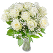 Bathed in clean, natural light against a plain white backdrop, this graceful bouquet of white roses reads like a quiet poem of calm. Roughly a dozen large, fully opened roses dominate the composition, their velvety petals unfurling in soft, concentric spirals; some centres show a whisper of creamy yellow that gives each bloom gentle warmth and dimensional depth. Scattered among the roses are cloud-like sprays of baby's breath (Gypsophila paniculata), tiny clustered blossoms that float between the fuller heads and create an airy, misty texture reminiscent of early-morning fog over Canons Park. Beneath the flowers, varied green foliage fans out-broad glossy leaves, pointed sprigs, and slender stems-framing the ivory blossoms and giving the arrangement a vivid, natural contrast. The stems sit neatly trimmed in a clear, slightly flared glass vase visible at the lower centre of the image; the water is bright and transparent, and the stemlines provide a calm, orderly base to the soft floral forms above. The overall palette remains restrained-ivory, soft cream, and fresh green-while the lighting highlights the petals' satin sheen and the delicate shadow between layers. The scent suggested by the scene is quietly floral, a gentle rose fragrance crossed with green leaf notes that feels soothing rather than intense. This bouquet carries an air of serene celebration: ideal for a wedding on a crisp Stanmore morning, a thoughtful anniversary gift, or a comforting sympathy tribute delivered locally around Stanmore Broadway and nearby Harrow streets. The florist's touch is understated and refined, letting simplicity become the arrangement's most eloquent expression.