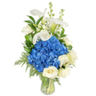 A tall, graceful floral composition sits in a clear, gently tapered glass vase against a pure white background, every detail arranged to read clearly even at a glance. At its centre is a generous, rounded head of deep royal-blue hydrangeas - their clustered petals dense and almost velvety, catching a cool, soft light that makes the blue feel both intense and calming. Nestled beneath and around that blue anchor are creamy white roses, petals unfurling in tight, plush spirals that offer a warm, traditional counterpoint to the cool hydrangea mass. Rising above the main cluster are sculptural white calla lilies, their trumpet-shaped spathes smooth as porcelain and tipped with a hint of pale green at the throat, lending vertical elegance and a sleek silhouette. Interspersed among these principal blooms are upright spires of delicate white snapdragons or stock, their small florets adding a light, whimsical texture and gentle movement. Throughout the arrangement lush green foliage - glossy broad leaves reminiscent of salal or lemon leaf and feathery, light-green fern fronds - provides depth and frames the blooms, some fronds cascading softly over the vase rim. The stems are neatly gathered and visible through the transparent glass, standing in clear water that reinforces the arrangement's fresh, composed feeling. The overall mood is serene and refined: a bouquet that reads as comforting and dignified, suited to sympathy, remembrance, a quiet anniversary, or as an understated yet striking table centerpiece. I imagine this piece bringing a cool, peaceful presence to a bedside or mantel in Stanmore, where the tranquil blue and white palette complements both contemporary and classic interiors.