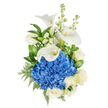 A portrait of serene elegance: a vertically composed bouquet set against a pure white backdrop that highlights a cool, calming palette of crisp whites and vivid blue. At the visual centre rests a lush, rounded dome of deep blue hydrangea, its hundreds of tiny florets packed together to form a soft, cloud-like focal point that seems almost tactile. From just above the blue bloom three sculptural white calla lilies rise in graceful trumpets, their smooth, waxy petals curling inward to reveal slender, pale yellow spadixes and an almost porcelain quality to their form. Scattered through the design, creamy white roses open in layered, full petals, offering the familiar, gentle softness of a classic bloom, while tall spikes of white stock add vertical rhythm and an airy, fragrant texture with their clustered tiny blossoms. The composition is cushioned and framed by glossy broad leaves and feathery leatherleaf-style fern, the rich green tones providing depth and a cool contrast that keeps the whites luminous and the blue resolute. Soft, even lighting bathes the arrangement, allowing shadows to fall subtly between petals so each surface reads clearly to the eye and to touch. The overall mood is refined and quietly hopeful-suitable for conveying sympathy, marking an anniversary by the lake at Canons Park, or sending thoughtful admiration to a neighbour after a milestone. As a local florist would note, the bouquet's balance of structure and softness makes it timeless, trustworthy, and distinctly calming for any moment that calls for dignity and sincere feeling in Stanmore.