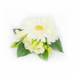 This graceful corsage is a study in quiet elegance, photographed against a soft white backdrop so every pale petal and glossy leaf reads clearly. At the heart sits a fully open white Gerbera daisy, its concentric rows of smooth, creamy petals flaring around a textured yellow-green disk that suggests freshness and restrained cheer. Around and beneath that central bloom, soft Eustoma or Lisianthus flowers and buds unfold in buttery ivory and pale cream, their ruffled edges catching the light with a velvety sheen. A smaller layered white chrysanthemum peeks from the upper right, adding depth and a hint of old-fashioned charm. Broad, deep emerald green leaves cradle the cluster, their waxy surfaces lending contrast and a cool, botanical weight that anchors the composition. Tiny white pearl beads are delicately threaded through the foliage on the right, catching a whisper of reflection and lending an understated touch of formality suitable for weddings or evening events. The light is diffuse and even, so textures-silken lisianthus petals, the Gerbera's firm center, the glossy leaf surfaces-are all easily read by touch or imagination. I picture this pinned to a lapel for a Stanmore spring wedding, its restrained palette speaking of calm and promise, or used as a refined bridal accessory for an intimate celebration near Canons Park. The overall feeling is fresh, composed, and reassuringly handcrafted, like a small garden revisioned for a cherished moment, designed with the same attentive care local clients expect from florists serving Stanmore and the surrounding Harrow neighbourhoods.