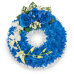 A solemn, circular wreath arranged in a clear, bright studio light, its entire ring formed from a dense carpet of electric royal-blue chrysanthemums that create a plush, velvet-like surface when viewed head-on. The deep blue mass gives the wreath a luminous, almost jewel-like intensity, each small petal tucked tightly against its neighbour to produce an unbroken, comforting circle. At the crown of the composition sit three full, velvety royal-blue roses, their petals unfurling in layered spirals; they are gently softened by airy sprays of pure white baby's breath, and balanced by a few glossy, deep-green leaves that provide a calm, natural contrast. From the left side a graceful cascade of pristine white orchids - likely Phalaenopsis or Dendrobium - trails down, their broad petals and subtle curves suggesting fragility and quiet dignity; along that curve, a slender stem of pale yellow-green buds hints at new growth. The inner edge of the wreath is neatly framed with a ruffled white satin or silk ribbon, its crisp texture defining the central void and giving the tribute a refined, formal finish. There is a discreet, clean floral scent suggested by the arrangement and a soft, respectful mood suitable for a funeral or memorial service. The designer's hand is evident in the careful balance between the bold blue field and the gentle white accents, a craftful expression of remembrance meant to comfort. This image communicates serene reverence and poised sympathy, appropriate for articles about bereavement, choosing funeral flowers, or creating a lasting homage to a loved one in Stanmore and the surrounding Harrow neighbourhoods.