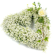 A tranquil heart-shaped wreath crafted almost entirely from a dense, cloud-like mass of tiny white gypsophila (baby's breath), each little blossom contributing to a soft, pillowy texture that reads like a hush of snow. The compact clusters form a perfectly rounded heart, their pearly petals catching a gentle, diffused light that reveals subtle warm undertones of cream and ivory. At the upper right curve a single creamy-white rose is nestled with care; its petals are tightly spiralled at the centre, beginning to unfurl like a quiet breath, offering a calm focal point amid the halo of baby's breath. Threaded through and framing that rose are slender, glossy green leaves - variegated ivy with its lobed shapes and a few eucalyptus-like sprigs - which introduce cool, verdant contrast and a faint herbal scent that balances the rose's soft sweetness. The greenery cascades slightly along the right side of the heart, adding movement and natural depth so the composition feels alive yet spare. Set against a crisp, pure white background, every detail-texture, shadow, and the delicate interplay of whites and greens-stands in clear relief, creating an atmosphere of dignity and quiet reflection. This is a considered sympathy piece, the kind chosen for funerals or memorial services when families request a design that speaks of purity, remembrance, and enduring love. As a local florist familiar with Stanmore and nearby Canons Park, I imagine this arrangement resting on a chapel easel or beside a casket, offering a gentle, tactile message of comfort and heartfelt condolence.