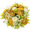 Captured against a flawless white backdrop, this bouquet distils the softness and glow of an autumn sunset into a rounded cluster of warm hues and gentle textures. At the heart of the arrangement are large chrysanthemums in ochre, honey gold, and deep bronze, their petals packed in intricate layers that create full, cushion-like blooms. Some of the chrysanthemums are traditionally rounded, while others show a distinctive, crested surface, with rippling, brain-like folds in mustard and brown that give the bouquet a sculptural quality. Tucked among these rich tones are creamy white roses, each bloom composed of spiralling, velvety petals that radiate a quiet, classic grace. Between the more prominent flowers, tiny white daisy-like blossoms with bright yellow centres appear in airy sprays, reminiscent of feverfew or chamomile and suggesting a gentle, wildflower edge. Slender stems of lime-green solidago lace through the design, their fine, feathery clusters adding a fresh green highlight that keeps the warm palette from feeling heavy. The bouquet is structured into a lush, domed shape, every flower carefully placed so the colours mingle harmoniously, much like the foliage and blooms seen in Stanmore's gardens near Bentley Priory and Canons Park. The stark white background eliminates any distraction, ensuring each subtle shift of colour and texture is clearly visible-from the burnished chrysanthemum tips to the soft glow of the roses. The overall impression is of comfort, hope, and understated celebration, ideal for sending sympathy with warmth, offering congratulations, or simply bringing a touch of seasonal light into a Stanmore living room or welcoming hallway.