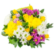 Against a clear white backdrop, this mixed bouquet glows with a cheerful palette of yellow, white, and purple that brings to mind a bright morning walk through Stanmore's quiet residential streets. At the centre, rounded yellow chrysanthemums draw immediate attention, their abundant, finely cut petals forming plush, cushion-like blooms. Some flowers are fully open, showing every layer, while others remain partly closed, adding gentle variation in height and texture. Interspersed throughout are charming yellow spray roses, each stem bearing several small flowers and buds; the rose petals are smooth and velvety, cupping delicately around their centres and lending a more traditional, romantic feel to the otherwise playful arrangement. Scattered among the yellows, crisp white daisy-shaped spray chrysanthemums with light green centres bring a sense of cleanliness and clarity, their neat petals fanning out in even, symmetrical rings. Deep magenta and purple daisy chrysanthemums appear in striking contrast, their bright yellow eyes tying them into the overall colour story while giving the bouquet extra dimension and a celebratory flair. Soft touches of pastel pink or lavender flowers appear here and there, almost like whispered accents that gently bridge the stronger hues. A generous layer of dark green foliage wraps and weaves through the bouquet, the leaves smooth, glossy, and slightly elongated, providing a lush backdrop and a rounded, abundant outline. The lighting is soft and balanced, with no harsh shadows, allowing each colour and texture to be clearly appreciated. The bouquet feels joyful, approachable, and warm-an ideal, budget-friendly arrangement for birthdays, get-well wishes, or simple thinking of you deliveries throughout Stanmore, crafted with the same care you'd expect from a trusted local florist.