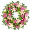 A richly detailed circular wreath dominates this image, its form and colours emphasised by a plain white background. The wreath is fully covered in flowers and greenery, creating a sense of abundance and care. The primary flowers are roses in a striking range of pinks, from intense fuchsia and magenta to softer pastel tones. Clustered together, the roses create a plush texture, their layered petals folding over one another. Some blooms are tight and rounded, hinting at youth and newness, while others are fully opened, with wide, cupped petals that give the wreath a welcoming softness. Threaded throughout are elegant double lilies, their multiple petals in shades of creamy white, blush pink, and subtle peach bringing lightness and contrast. A few upright, lime-green lily buds are scattered among the open flowers, adding touches of fresh colour and suggesting the unfolding of more beauty over time. Enveloping the blooms is a rich mantle of green foliage: feathery fern fronds trace the outer edge, lending a delicate, almost ethereal border, while smooth, glossy leaves lie nearer the centre, giving depth and a supportive framework. The interplay of dark greens with warm pinks results in a composition that feels composed and serene. It is easy to picture this wreath created in Stanmore by a florist familiar with local services, perhaps with deliveries heading towards Stanmore station, Canons Park, or local chapels and cemeteries. Designed for funerals, wakes, and memorial ceremonies, the wreath in the photograph quietly conveys messages of sympathy, enduring affection, and respect, offering a gentle focus for reflection during moments of farewell.