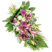 Photographed on a clean white background, this elongated sympathy arrangement appears as a graceful cascade of deep pink and white blossoms framed by abundant greenery. The spray starts with tightly bound stems at the top left and flows diagonally down to a gentle point at the bottom right, creating a shape that resembles a falling tear or a soft wave. At its heart are dramatic Oriental Stargazer lilies, their wide, star-like petals in vivid fuchsia-pink with crisp white edges and subtle burgundy speckling, some fully open, others still in slender, green-tinged buds. Intertwined with them are bright magenta gerbera daisies, their flat, round faces adding lively pops of colour amidst the more sculptural blooms. Creamy white roses, in both bud and partially open form, sit alongside fluffy, ruffled white carnations, bringing a comforting softness and a sense of peace. Tiny white daisy-like filler flowers peek out between the larger petals, creating delicate highlights and a lace-like texture. The entire arrangement is supported and framed by rich, varied foliage: broad, glossy dark green leaves give structural strength, feathery fern fronds add light, airy movement, and long, slender blades of foliage sweep outward and downward, reinforcing the spray's flowing, elongated line. The lighting is soft and even, revealing the natural sheen of each petal and leaf, as though the arrangement has just been finished in a Stanmore workshop ready for delivery to a nearby funeral service on Marsh Lane or close to Stanmore Country Park. Radiating dignity and warmth, this floral tribute provides a touching way to express sympathy and remember a loved one with grace.
