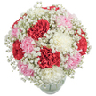 Brimming with warmth and gentle colour, this bouquet of plush carnations-rich reds, pastel pinks, and ivory whites-forms an inviting cluster that radiates joy and affection. Surrounding these bold blooms, clouds of baby's breath offer a filmy softness, their tiny white blossoms bestowing an ethereal quality reminiscent of mist rising over Stanmore's open greens. Presented in a clear glass vase that hints at the stability beneath the effusive floral top, the arrangement feels fresh and welcoming, its subtle scents adding delicacy to any room. The clean white background lets every flower and texture stand boldly into view, making the bouquet an ideal gift for birthdays, milestones, or heartfelt occasions across Stanmore. Crafted by local florists, it captures the essence of caring celebration, blending softness and sophistication to brighten both homes and hearts in North West London.