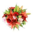 A vibrant, richly coloured bouquet sits against a clean white backdrop, its full, rounded silhouette captured from just above so every texture and tone is visible. At the heart of the arrangement several large Asiatic lilies-a dramatic orange-red-command attention, some petals fully unfurled to reveal subtle dark speckling and pronounced stamens, others still in slender green-tipped buds promising a second wave of bloom. Nestled around and between those lilies are deep crimson Gerbera daisies with their dark, almost-black centers, their radiating petals adding a bold, graphic counterpoint to the lilies' broad curves. Soft blush-pink roses thread through the composition, from tightly furled cups to gently opened blossoms, their velvety petals offering a romantic, tactile contrast to the papery lilies and the Gerberas' firm planes. Small clusters of glossy red hypericum berries catch the light like tiny jewels, bringing playful roundness and a festive punctuation to the palette of fiery reds, warm oranges and gentle pinks. A generous mix of foliage fills and frames the bouquet-broad, solid green leaves give weight and depth while a few variegated leaves with pale green-and-white streaks add brightness and visual movement. The lighting is bright and even, emphasising the freshness and the natural sheen of petals and berries; one can almost imagine the faint sweet-spicy scent that would lift from the arrangement. As a Stanmore florist might arrange for a local celebration near Stanmore Common, this bouquet feels both exuberant and carefully composed, suitable for anniversaries, birthdays or to brighten a room with confident colour and thoughtful craftsmanship.