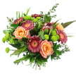 A richly textured, hand-tied bouquet is photographed against a flawless white background, every detail illuminated with the clarity of morning light streaming into a Stanmore townhouse. At the heart of the arrangement sit generous peach and apricot roses, fully open and velvety, their petals arranged in spirals that suggest softness, romance, and an easy, welcoming charm. Radiating around them, Gerbera daisies in deep magenta, dusty rose, and burgundy offer strong, circular bursts of colour, their bright golden and coppery centres bringing a vivid, upbeat quality that makes this an ideal gift for a birthday, anniversary, or congratulations delivered anywhere from Belmont to the streets around Stanmore Hill. Standing proudly near the upper centre, a striking protea forms the bouquet's main focal point: its conical shape, reddish-brown and maroon bracts, and intricate texture lend an exotic, almost sculptural presence that contrasts beautifully with the more familiar roses and gerberas. Nestled between these larger flowers, clusters of lime-green button chrysanthemums provide playful pops of brightness, their tiny spherical heads and moss-like texture introducing a contemporary, energetic note. The flowers are cradled in an abundance of foliage-broad, glossy leaves, slender blades, and delicate eucalyptus sprigs that trail gently through the bouquet, adding depth, movement, and a cool, aromatic freshness. All the stems are tightly gathered and bound at the base, clearly shaped by an experienced florist's hands into a hand-tied design ready for a vase. The overall impression is one of thoughtful balance and generous colour, a bouquet that feels both luxurious and approachable, perfect for bringing a touch of natural beauty into everyday life in Stanmore.