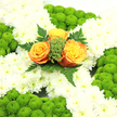 In the photograph, a meticulously crafted floral cross lies completed, ready to be delivered to a funeral or memorial service in or around Stanmore. The entire shape of the cross is enveloped in white chrysanthemums, each flower densely placed so that their soft, feathery petals overlap in a continuous, plush layer. The effect is that of a white quilt or blanket, symbolising comfort and rest. The light is gentle, allowing the natural creamy-white tones of the chrysanthemums to show without harsh contrast. Breaking this serene field of white, cool lime-green button chrysanthemums appear as rounded clusters at strategic points on the cross's arms and lower section. Their compact, domed heads and crisp colour add vibrancy and structure, reminiscent of the fresh green hedges and gardens dotted throughout Stanmore. At the heart of the cross, where the vertical and horizontal lines meet, three roses form a luminous focal point. Their colouration moves from deep, ember-like orange at the centre to a soft, golden yellow at the outer petals, giving them a warm, glowing presence against the surrounding white. These roses are delicately framed by sprigs of small green filler and slender fern-like leaves that stretch gently outward, adding depth, texture, and a touch of woodland grace. The balanced trio of green, white, and orange hints at the tones of the Irish flag, making the design meaningful for Irish families while remaining appropriate for any faith-based farewell. Overall, this floral cross conveys a sense of serenity, reverence, and loving remembrance for Stanmore families marking a final goodbye.