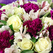 The photograph presents an intimate, richly textured view of a floral bouquet that seems freshly arranged for delivery somewhere in Stanmore, perhaps to a home near Stanmore Golf Club or a family gathering off Marsh Lane. At the center of the design, creamy white roses unfold in smooth, velvety spirals. Their petals show subtle variations in tone, with some almost pure ivory and others warmed by a faint wash of pale yellow at the heart, creating a tranquil glow. Surrounding these focal blooms are generous clusters of carnations in saturated shades of magenta and deep purple, each bloom a tumble of soft, frilled petals that build a sense of volume and indulgence. Threaded through this rich colour field are lighter notes from delicate alstroemeria flowers, whose slender white petals are traced with fine raspberry and burgundy stripes, like delicate brushstrokes that lend a hint of the natural, slightly untamed garden. Fresh green leaves punctuate the bouquet at different levels, their broad, polished surfaces adding structure and a cool, grounding contrast to the warmer florals. Soft lavender wrapping frames the outer edge of the arrangement, complementing the purple carnations without drawing attention away from the central blooms. The lighting is gentle and flattering, with no harsh shadows, allowing every texture-from the satin-smooth roses to the ruffled carnations-to be clearly appreciated. Altogether, the bouquet conveys a feeling of composed elegance and sincere emotion, an arrangement that would look equally at home on a polished dining table in Stanmore or in the hands of someone receiving a thoughtful thank-you, sympathy, or celebration gift delivered by a trusted local florist.