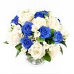 The image captures a soothing blue and white sympathy bouquet presented in a simple cylindrical glass vase, placed before an immaculate white background so that every nuance of the flowers stands out. The bouquet itself is rounded and full, composed mainly of generously open roses. Some are a rich, royal blue, their velvety petals folding into one another in deep, shadowed layers, while others are creamy white or ivory, the lighter tones bringing softness and a sense of quiet hope. Interwoven among these roses are slender stems of white freesia, bearing clusters of small, cup-like blooms and buds that lend a delicate rhythm and suggest a light, fragrant presence. Throughout the design, tiny sprigs of gypsophila-baby's breath-add a mist of fine white blossoms, filling gaps so the dome feels complete without appearing heavy. At the base of the flowers, dark green foliage peeks out, creating a subtle collar that frames the blooms and emphasises their colours. Inside the clear vase, the stems are cleanly cut and gathered in a shallow layer of water, with faint reflections glinting off the glass. The overall mood is one of composed elegance and heartfelt sympathy, the kind of arrangement someone in Stanmore might send to a funeral at a local chapel or to a quiet home on a tree-lined road near Bentley Priory. It feels like a gentle, dignified gesture, offering comfort and remembrance through the calm harmony of blue, white, and green.