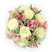 Viewed from above, this bouquet forms a perfect circle of harmonious colour and texture, composed of ivory roses, blush alstroemeria, and fine clouds of baby's breath, reminiscent of the timeless pieces created by Stanmore's local florists. The roughly eight central roses are generous and fully open, each one a swirl of creamy petals arranged in tight spirals that gradually relax towards the outer edges. Their tone is a soft, warm white, with the faintest hint of ivory near their centres, giving them a gentle glow against the crisp white backdrop. Between the roses, clusters of alstroemeria blossoms bring a fresh, romantic pink. Their petals are slim and slightly ruffled at the edges, decorated with delicate stripes of deeper pink and soft, peachy washes closer to the throat, which lends depth and visual interest. Baby's breath, massed in airy clusters, threads through the entire arrangement, its many tiny white flowers creating a misty overlay, as if the bouquet is wrapped in a light veil. Small glimpses of deep green leaves appear beneath and between the blooms, providing a natural contrast that keeps the pastel palette from feeling overly sweet, and hinting at the bouquet's garden origins. The composition is tightly gathered and perfectly symmetrical, giving it a composed, tranquil quality that would feel at home in a refined Stanmore living room or at a celebration near Bentley Priory. With its soft colours and delicate textures, the bouquet conveys affection, hope, and understated elegance, ideal for birthdays, anniversaries, or simply brightening a quiet corner with a touch of floral grace.