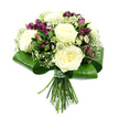 Photographed against a pristine white background, this polished hand-tied bouquet combines classic roses with rich accent flowers in a way that feels both timeless and fresh. In the middle, large white and cream roses unfold completely, their petals forming generous, layered spirals that invite the eye to linger on their smooth, velvety surfaces. Nestled between them, deep purple alstroemeria add drama and depth; a few flowers are fully open, showing off their patterned throats and fine stamens, while others remain as sleek buds, hinting at blooms yet to come. Around these central flowers, feathery clusters of white baby's breath float like a soft mist, connecting the individual stems into one harmonious design. Discreet touches of spiky filler flowers in pale green and soft white-similar to Astrantia or delicate thistle heads-introduce a subtle texture that makes the bouquet feel modern without losing its gentle character. The flower heads are held within a carefully shaped collar of broad, dark green leaves, their glossy surfaces catching the light as they curve inwards to frame the blooms. Below this collar, straight green stems are gathered tightly, trimmed evenly, and secured with a slim green ribbon that keeps the bouquet compact and easy to hold. The lighting is even and bright, as though the arrangement were resting on a table in a Stanmore studio not far from the Broadway, with no harsh shadows to interfere. Designed with the same care that local residents expect from Flowers Stanmore, this bouquet is perfect for quiet celebrations, heartfelt thank-yous, or dignified sympathy messages delivered across Stanmore and its surrounding streets.