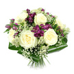 A beautifully composed hand-tied bouquet stands out crisply against a pure white background, its careful structure and colour balance reflecting the considered style often seen in homes around Stanmore. At its heart, a cluster of creamy white roses opens fully, each flower revealing a spiral of gently curved petals that evoke softness and a sense of calm. Woven among these central blooms are rich purple and magenta alstroemeria, their trumpet-shaped petals overlapping in layered fans, some fully open, others still in bud, giving a feeling of natural movement and progression through time. Fine sprays of white gypsophila drift between the larger flowers, their tiny, cloud-like blossoms adding a feathery softness and creating subtle transitions between the creamy tones and the deeper purples. Accents of pale green-white astrantia, with their starry bracts and detailed pincushion centres, bring a hint of wildflower charm, as if freshly clipped from a well-tended garden near Stanmore's leafy avenues. The entire bouquet is framed by broad, dark green aspidistra leaves, folded into a smooth, sculpted collar that provides both structure and contrast, emphasizing the round, compact silhouette. Visible at the base, the stems are gathered and trimmed neatly, demonstrating the precision of a professional florist preparing a bouquet for delivery. Bright, neutral lighting reveals the sheen on each leaf and the velvety look of the petals, underlining the freshness of the design. Suitable for expressions of love, sympathy, appreciation, or celebration in Stanmore, this arrangement carries an air of understated luxury and thoughtful artistry.