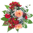 Cradled against a clear white backdrop, this hand-tied bouquet reads like a small garden caught at its most generous moment. At the circular heart two large peach-apricot roses unfurl in soft spirals, their inner petals blushing faintly at the edges and catching the light like warmed porcelain. Around them, deep crimson and burgundy chrysanthemums-each with a surprising lime-green disc-offer a velvety, daisy-like counterpoint, while a single tight red rosebud peeks out as a note of classic romance. Clouds of white baby's breath thread through the composition, their tiny stars of blossom lending an airy, lacy texture that softens the stronger forms. Broad, glossy dark-green leaves cradle the stems below and fan outward, giving the arrangement a grounded, lush silhouette; interspersed are rounded, silvery-green eucalyptus leaves that add a modern, muted tone and a faintly herbal scent. A dramatic, deep burgundy spiky bloom-reminiscent of a protea-introduces an exotic, architectural accent that catches the eye and creates sculptural contrast. The composition is densely packed and circular, designed to present a full, abundant face from any angle, the colours working together to suggest warmth, celebration and quiet affection. In soft daylight the mix of velvety crimsons, gentle peaches and crisp whites reads as both joyful and elegant. As a local florist offering arrangements for the Stanmore area, I picture this bouquet brightening a kitchen table on Stanmore Broadway or arriving by the station to mark an anniversary, its subtle perfume of rose and green leaves a gentle, welcoming presence.
